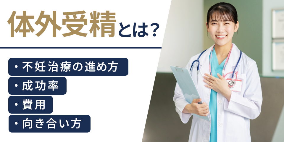 体外受精とは？不妊治療の進め方・成功率・費用・向き合い方を解説