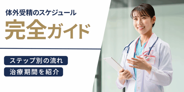 体外受精のスケジュール完全ガイド！ステップ別の流れ・治療期間を紹介