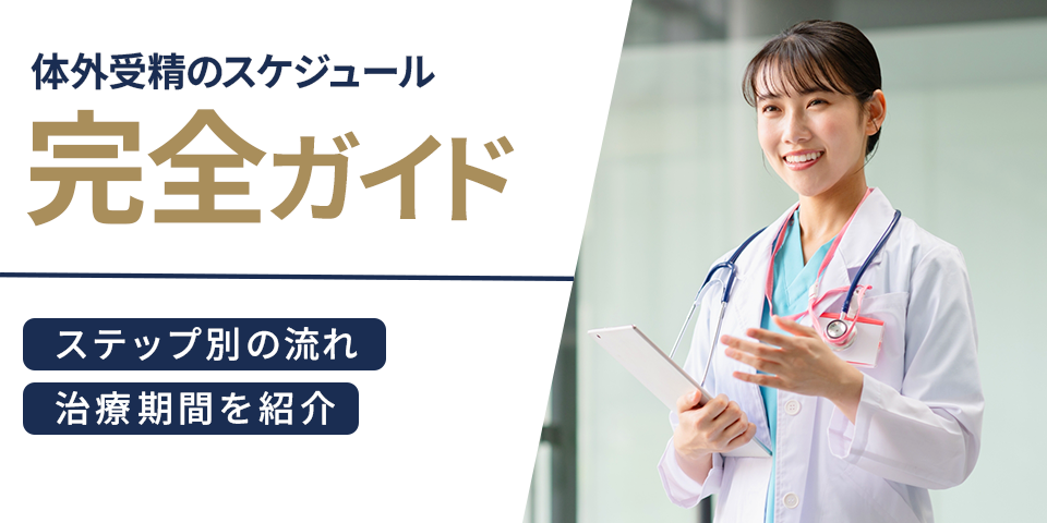 体外受精のスケジュール完全ガイド！ステップ別の流れ・治療期間を紹介